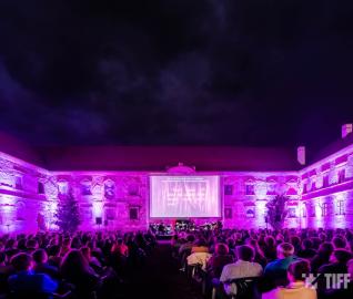 Despre festival